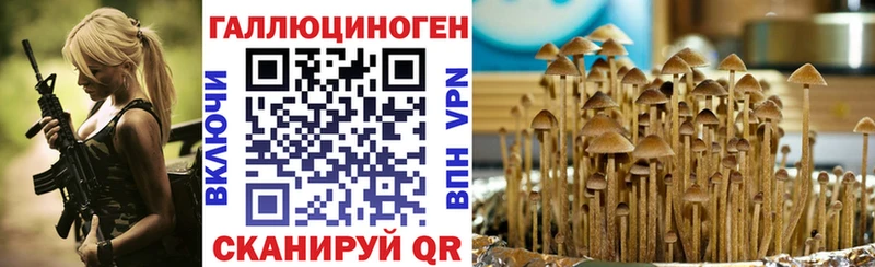 где купить наркотик  блэк спрут онион  Псилоцибиновые грибы ЛСД  Мглин 